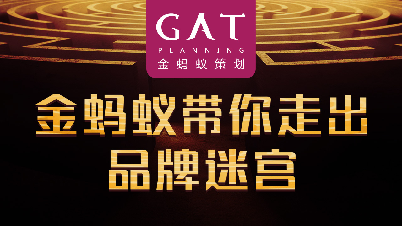 金蚂蚁实效策划，只为重长远利益的企业打造