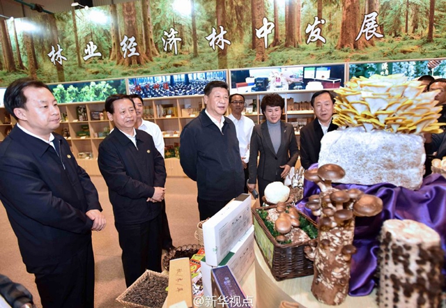 北货郎森林食品是如何走进习大大视线的