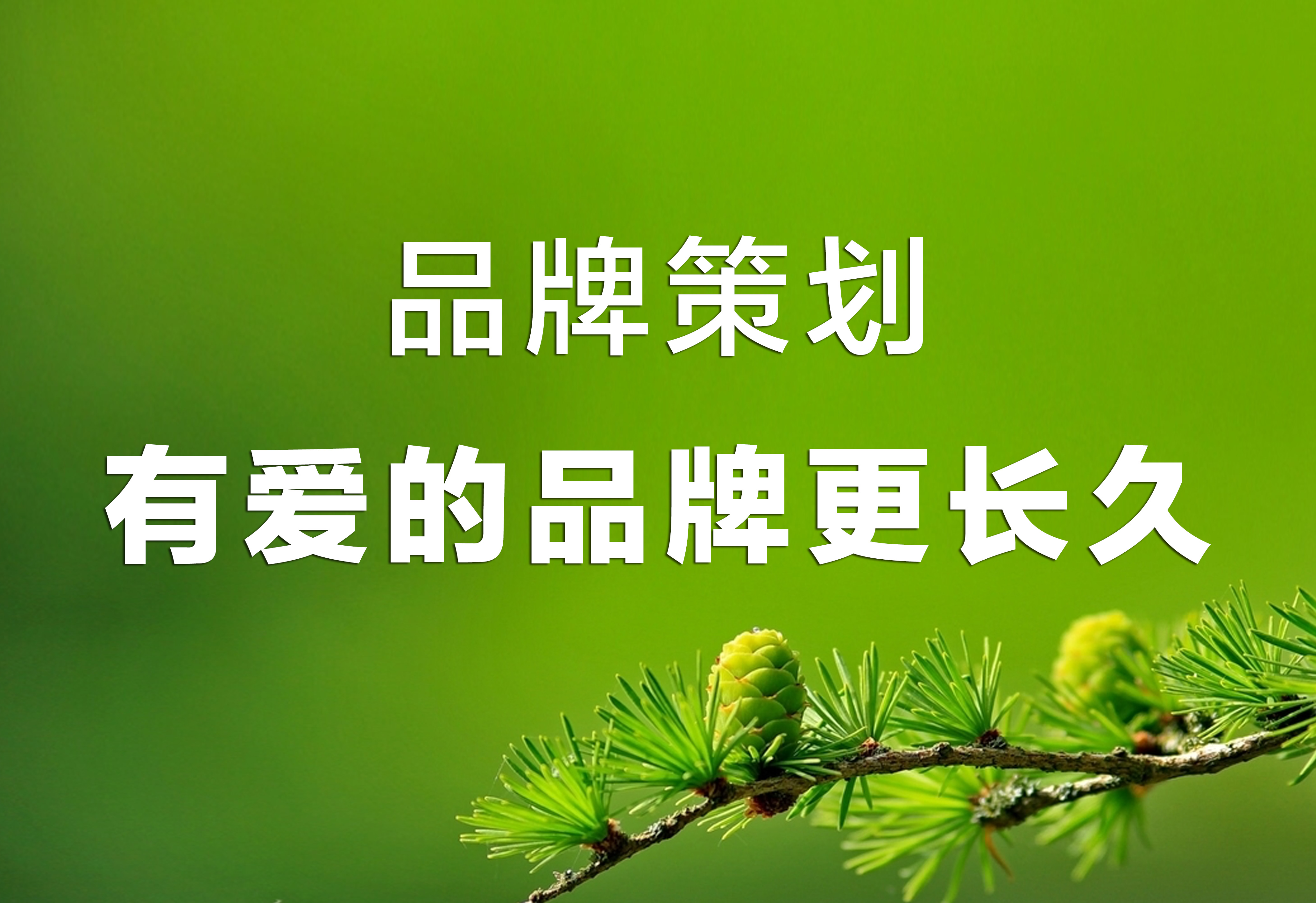 品牌策划：有爱的品牌更长久