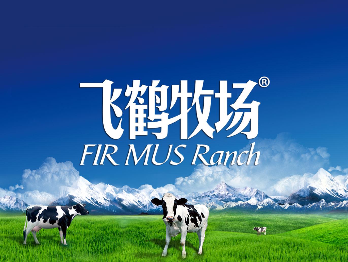 <b>飞鹤牧场文旅文创品牌策划全案</b>