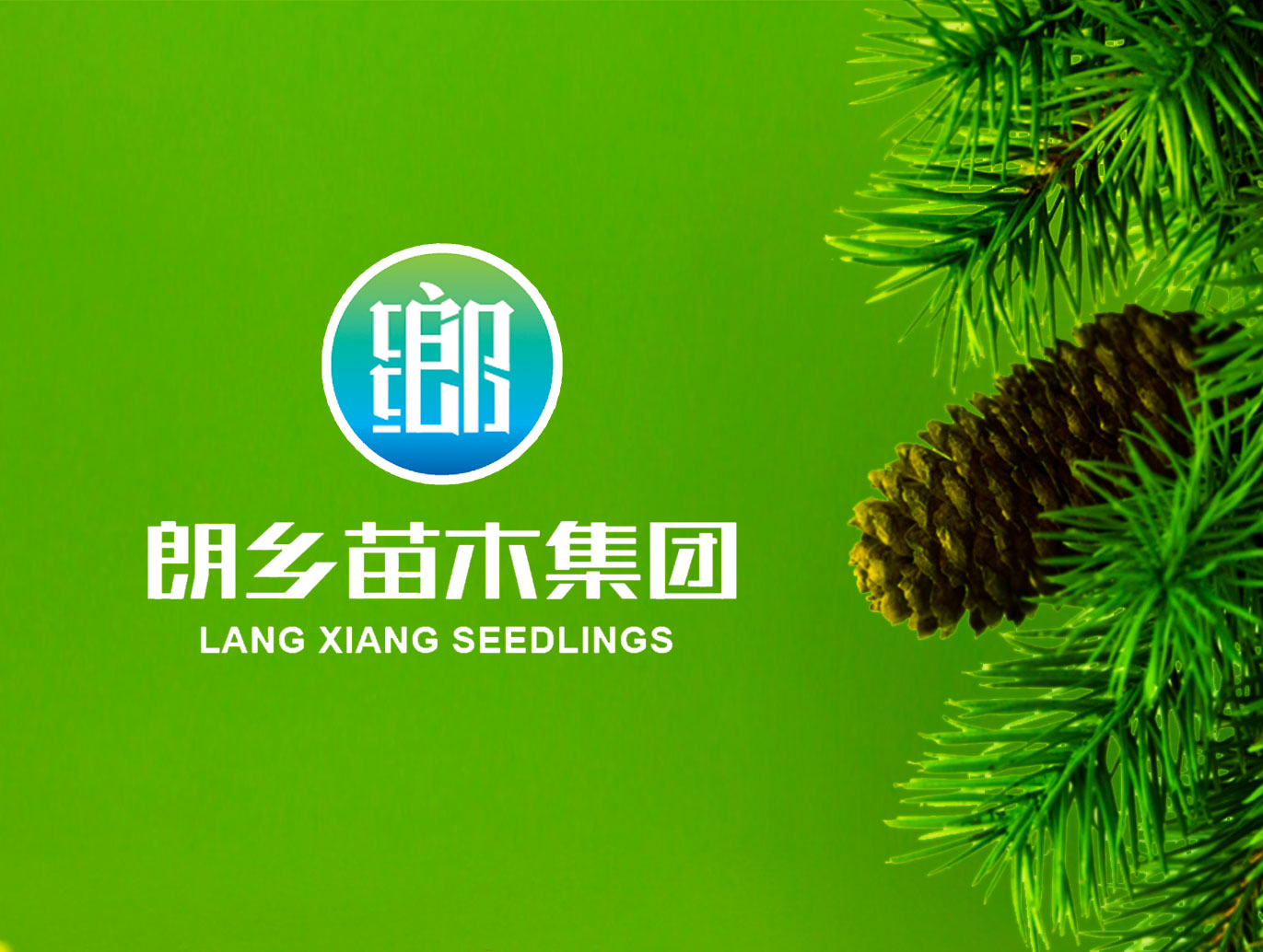 <b>朗乡苗木集团品牌策划</b>