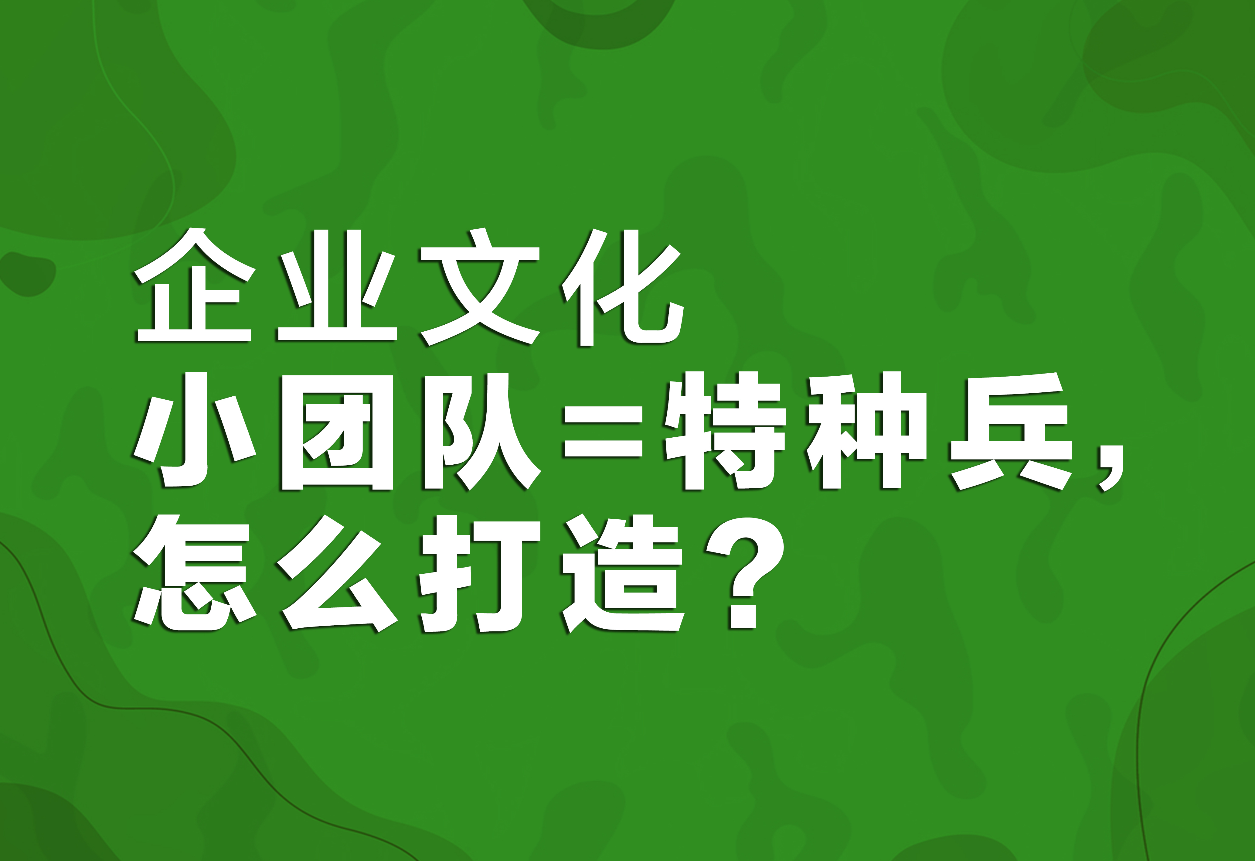 企业文化：小团队=特种兵，怎么打造？