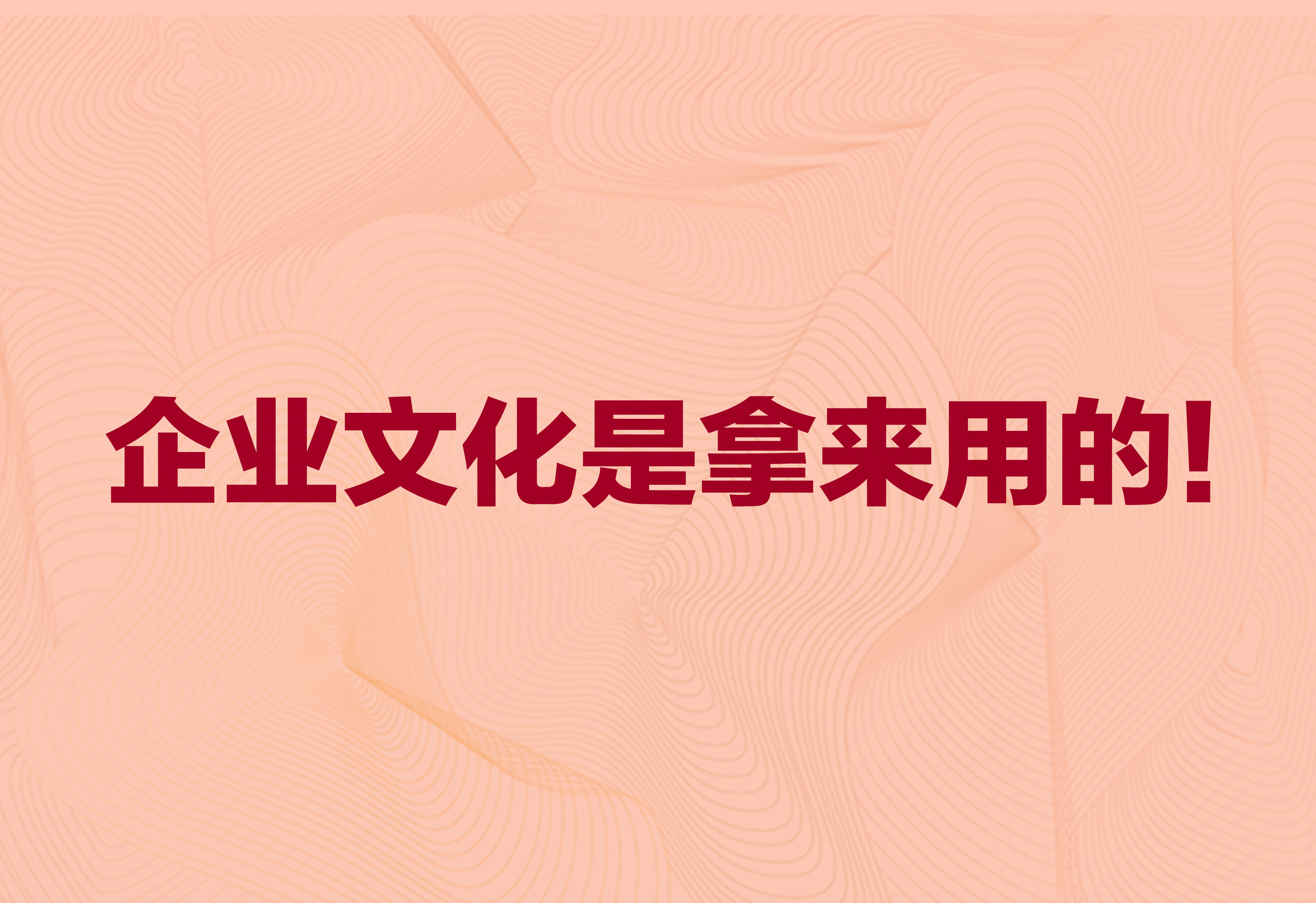 企业文化是拿来用的！