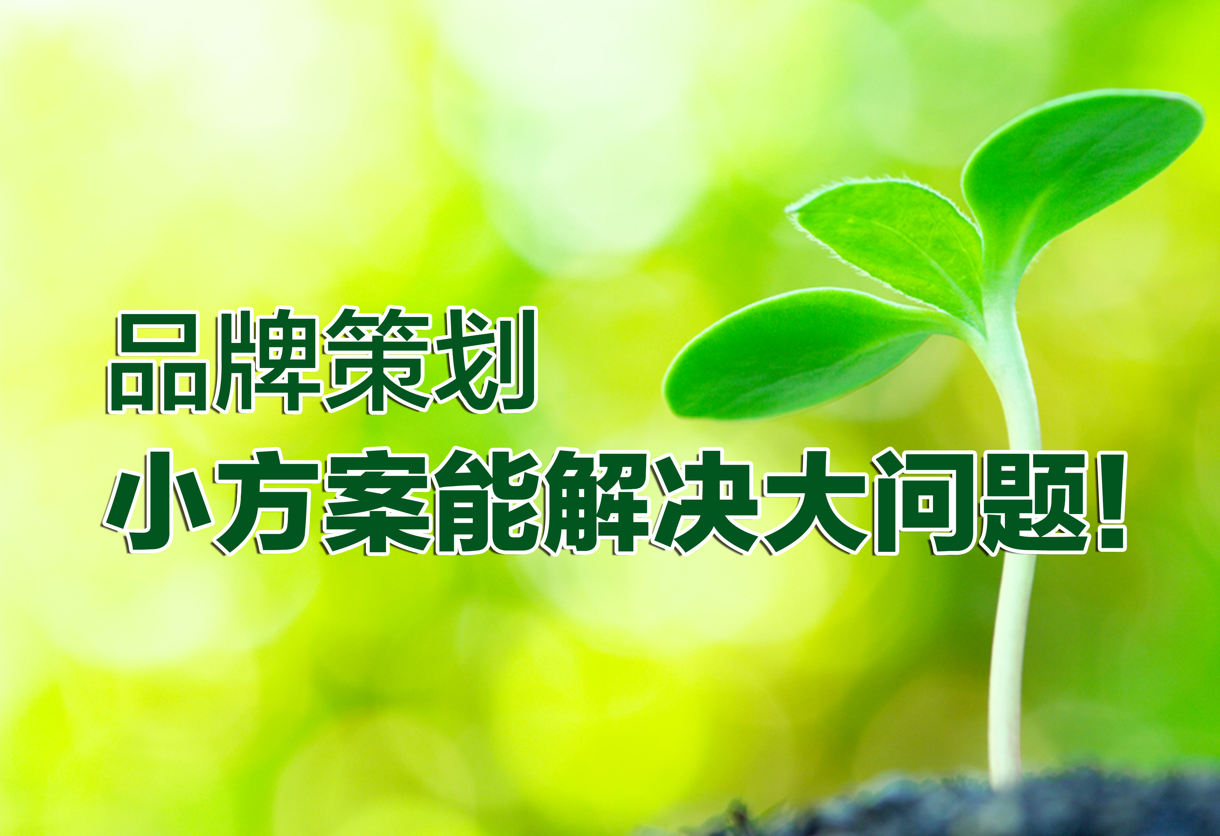品牌策划：小方案能解决大问题！