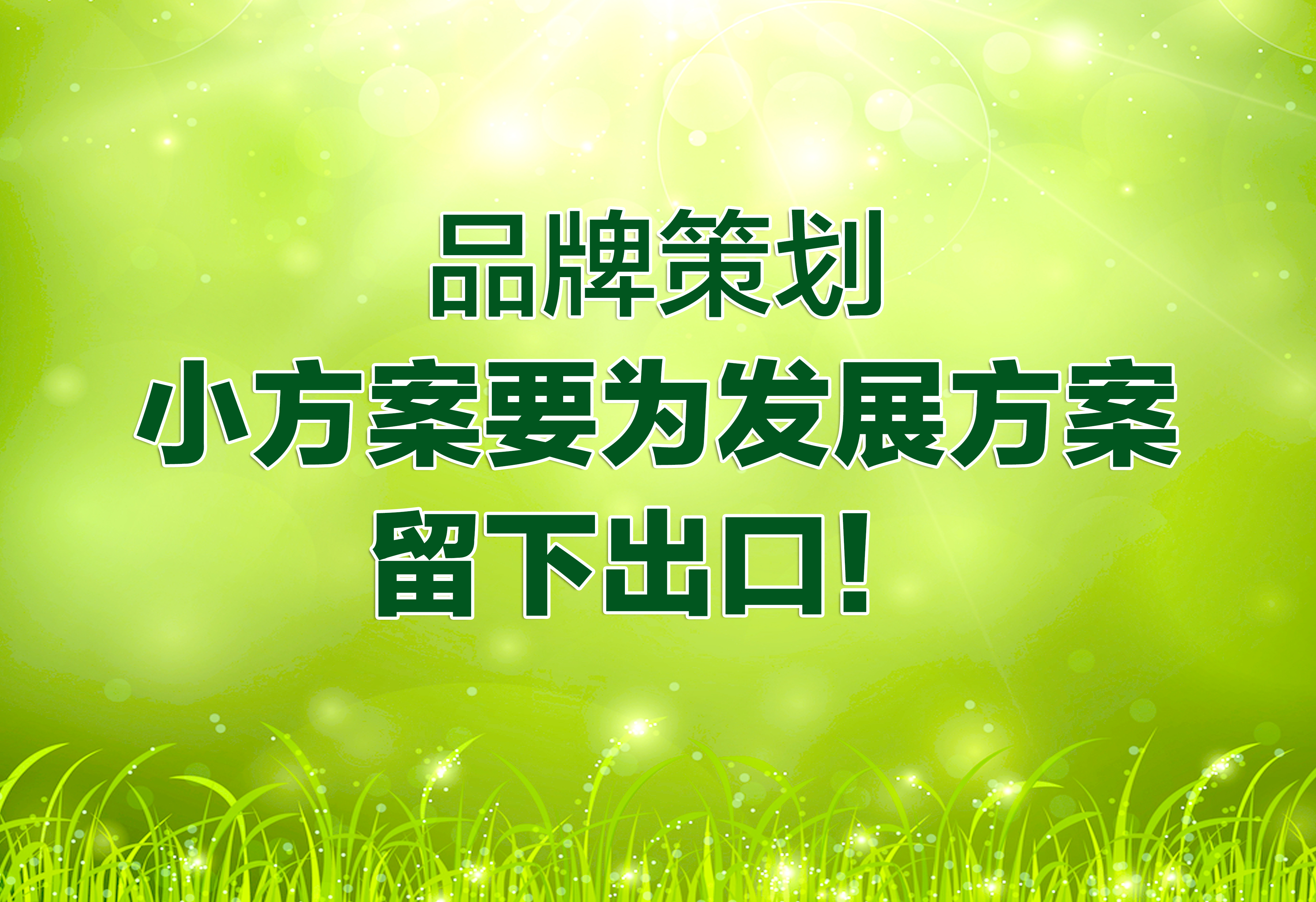 品牌策划：小方案要为发展方案留下出口！