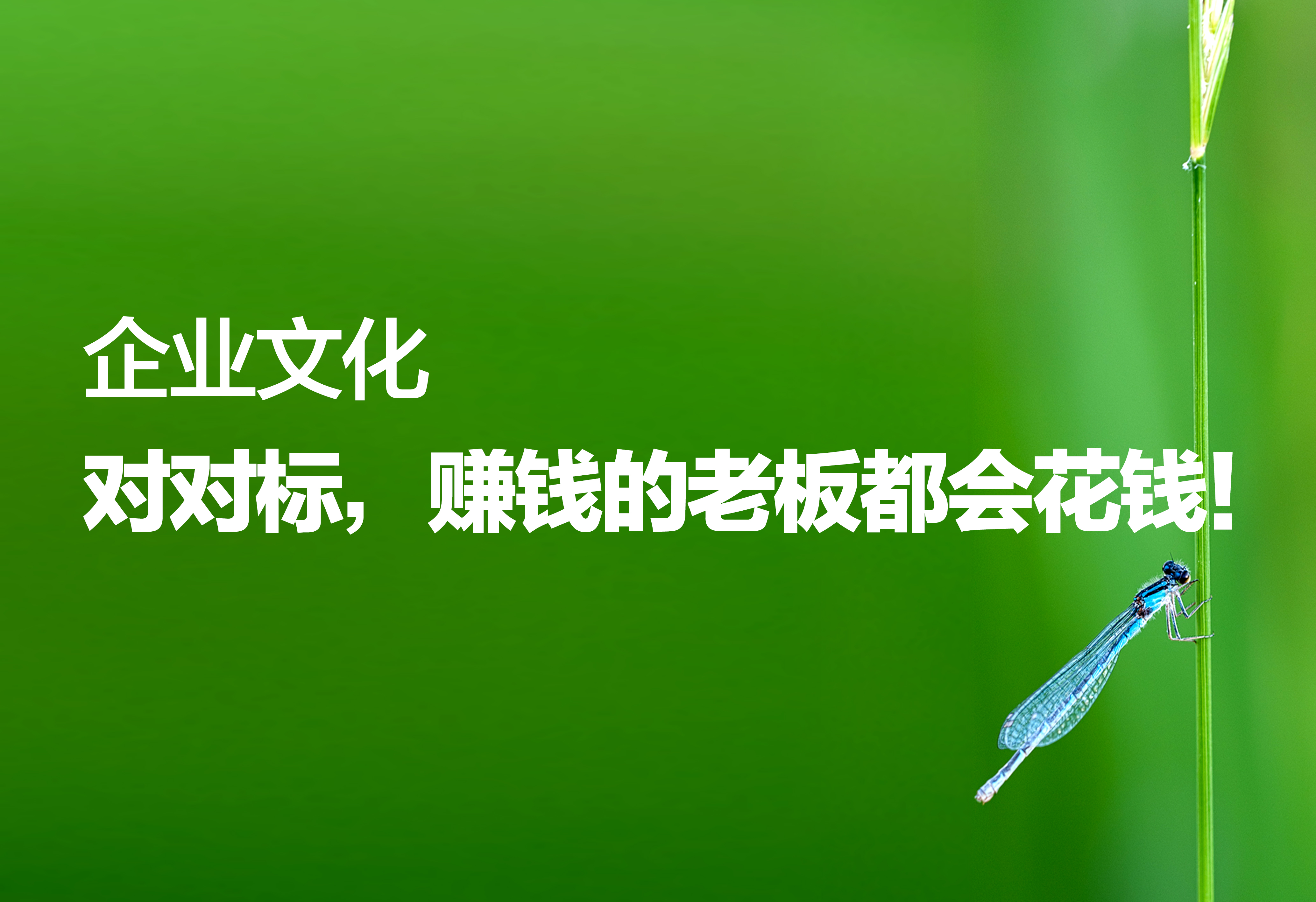 企业文化：对对标，赚钱的老板都会花钱！