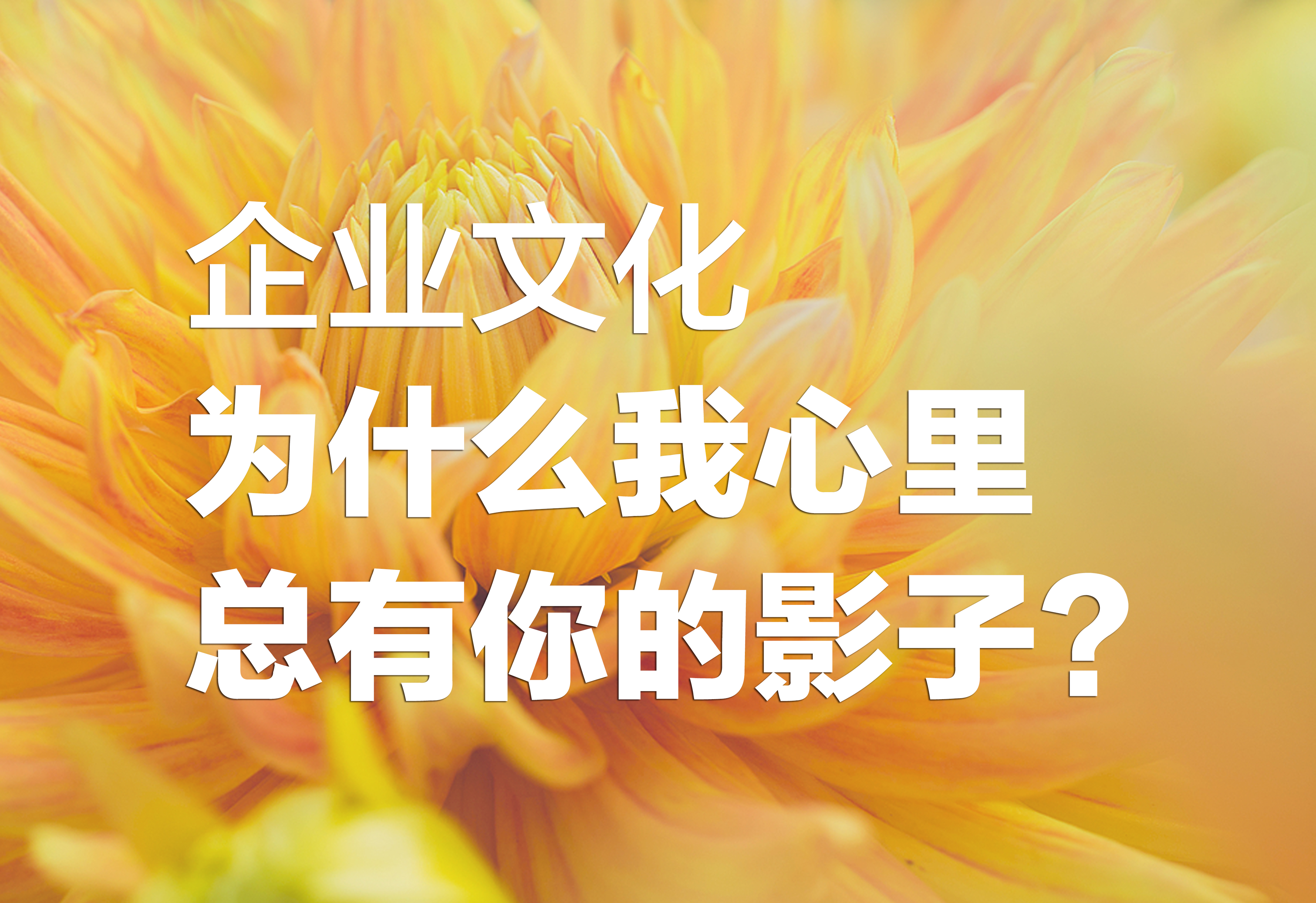 企业文化：为什么我心里总有你的影子？