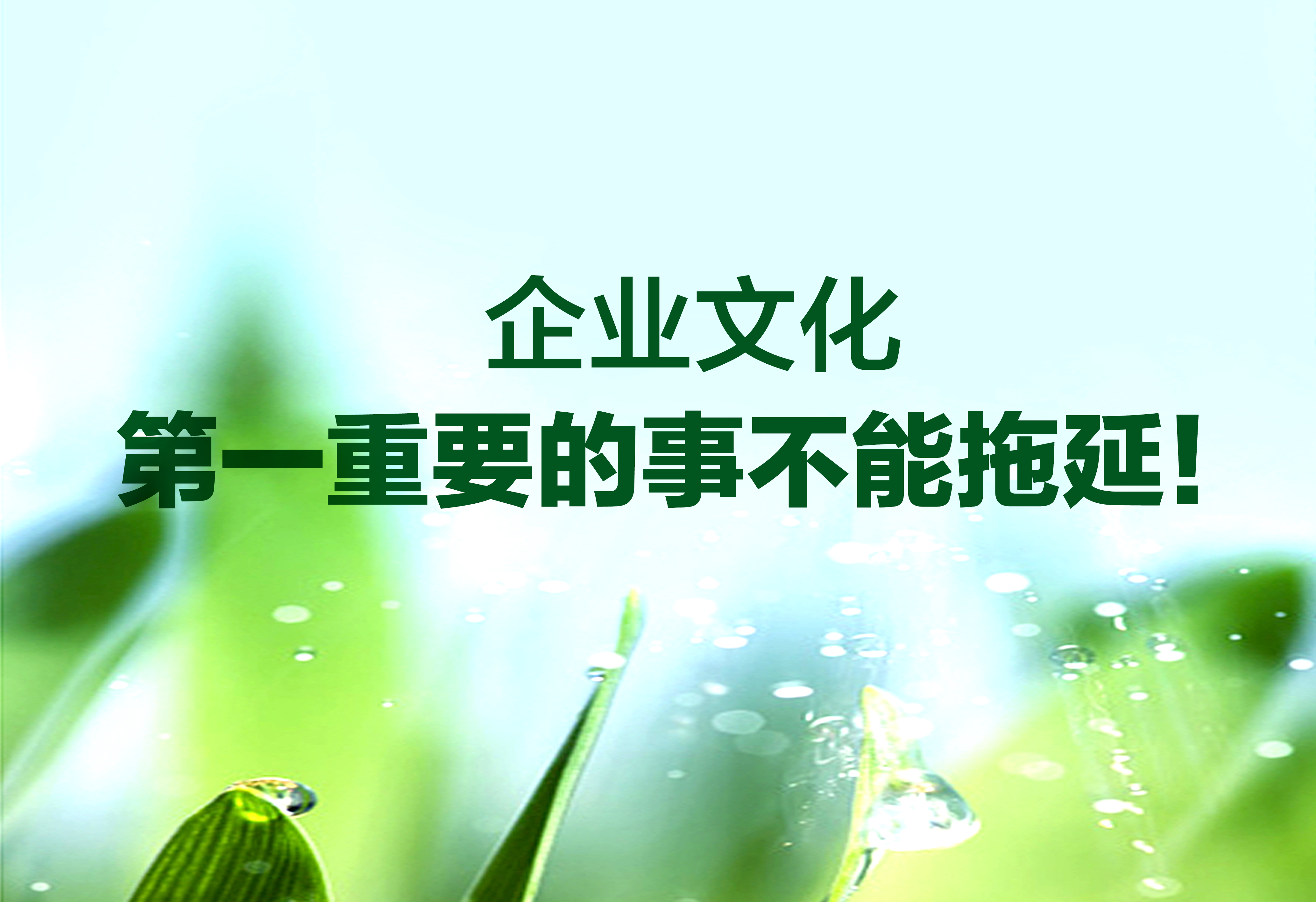 企业文化：第一重要的事不能拖延！
