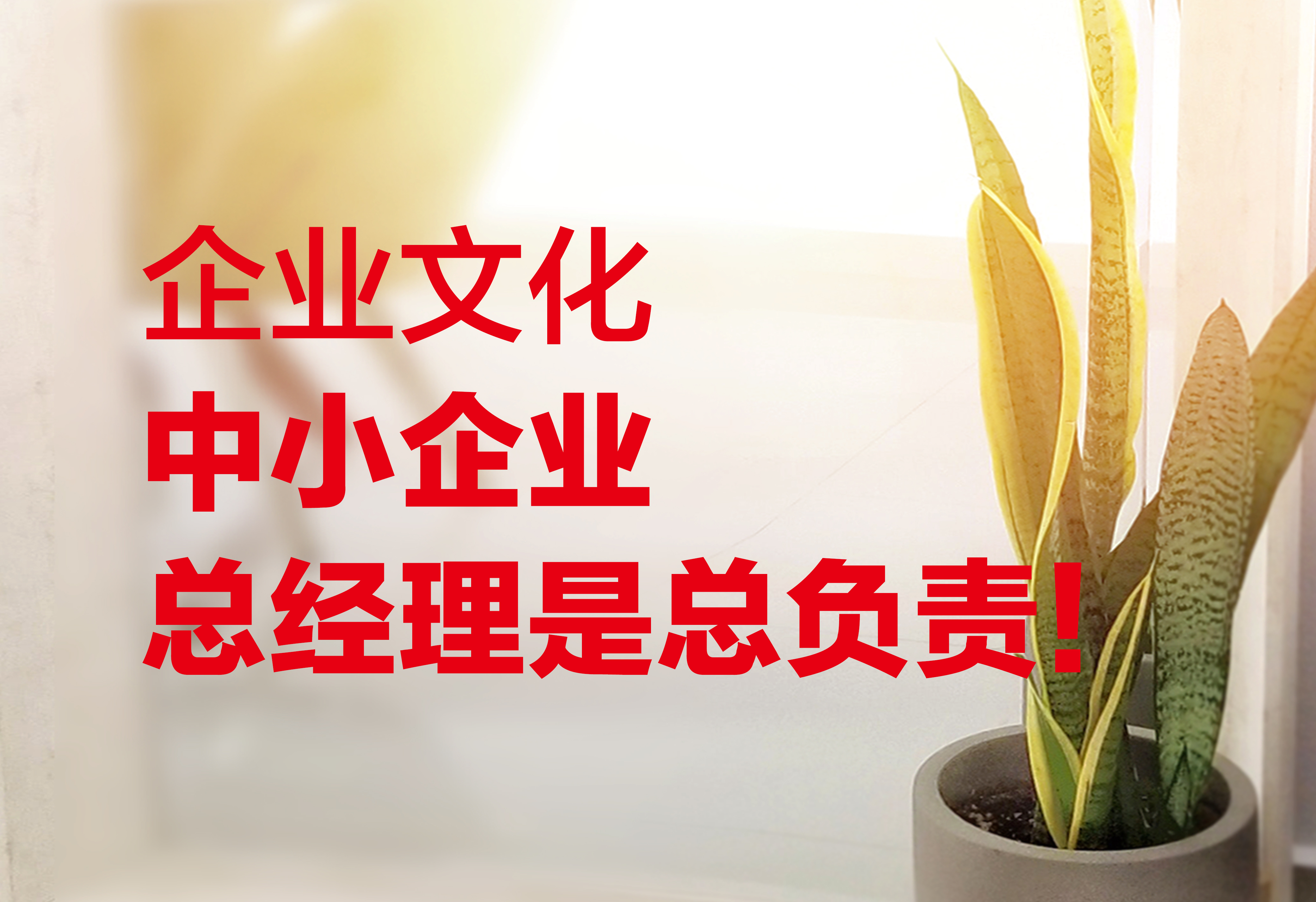 企业文化：中小企业总经理是总负责！