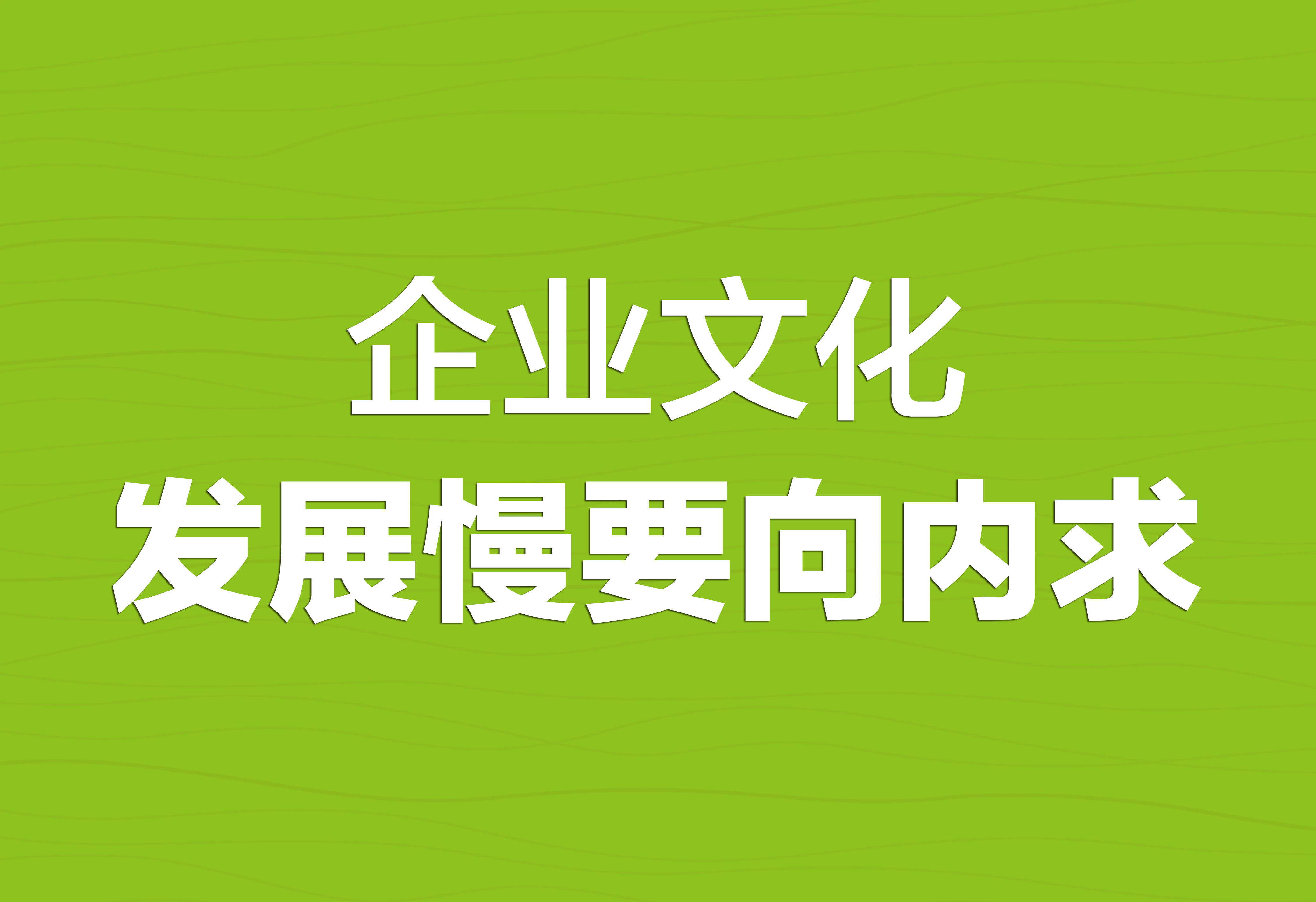 企业文化：发展慢要向内求！