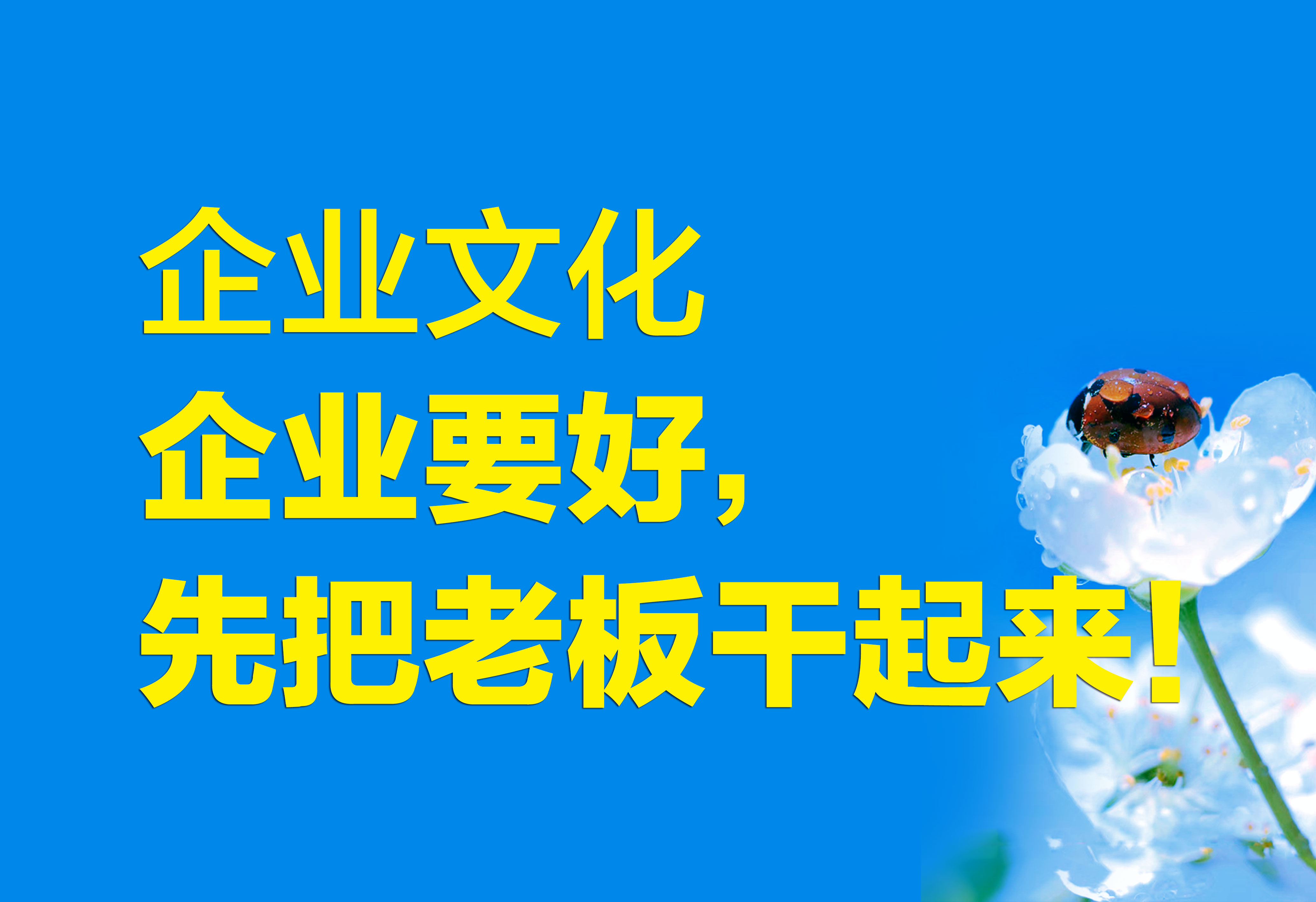 企业文化：企业要好，先把老板干起来！